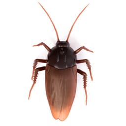 Жук радиоуправляемый «Таракан», работает от батареек, свет