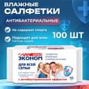 Влажные салфетки «Эконом» Smart, для всей семьи, антибактериальные, 100 шт.