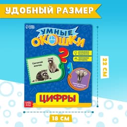 Книжка картонная с окошками «Цифры», 10 стр.