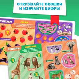 Книжка картонная с окошками «Цифры», 10 стр.