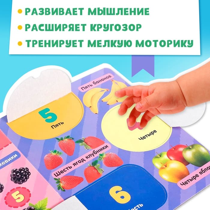 Книжка картонная с окошками «Цифры», 10 стр.