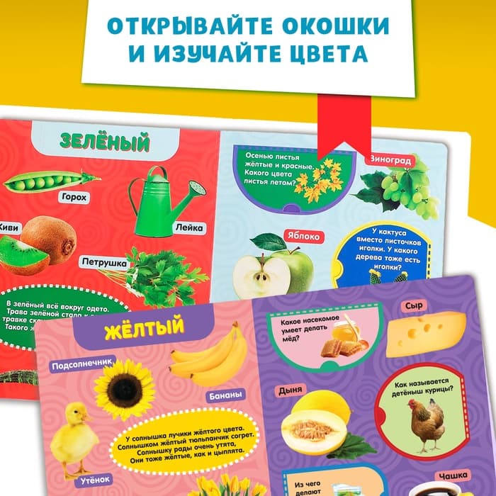 Книжка картонная с окошками «Цвета», 10 стр.