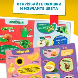 Книжка картонная с окошками «Цвета», 10 стр.