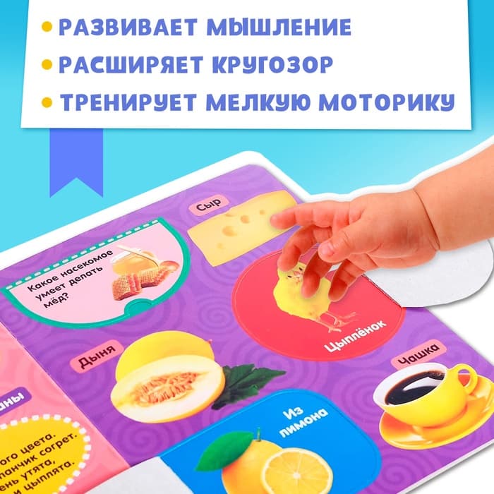 Книжка картонная с окошками «Цвета», 10 стр.