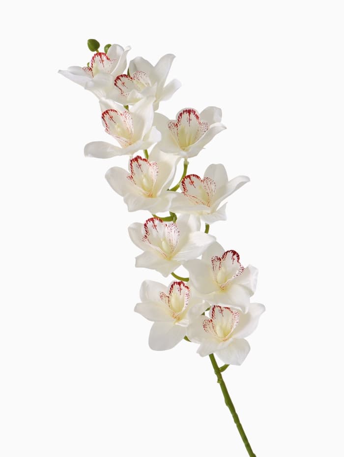 Цветы искусственные «Орхидея амабилис», h=90 см, белые