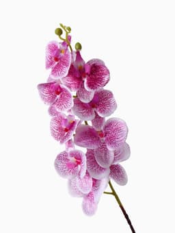 Цветы искусственные «Орхидея Тигровая», h=90 см, бело-сиреневые
