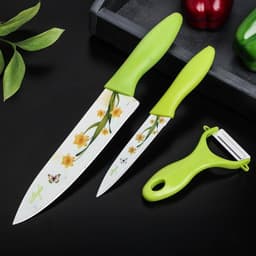 Набор кухонных принадлежностей Доляна «Нарцисс», 3 предмета: 2 ножа с антиналипающим покрытием, лезвие 12 см, овощечистка, 20×4 см, зелёный