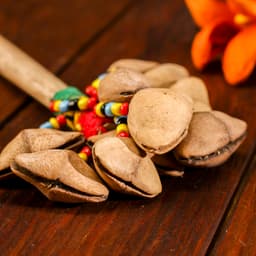 Сувенирный музыкальный инструмент «Маракас», 20×5×5 см