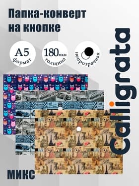 Папка-конверт на кнопке, А5, 180 мкм, МИКС