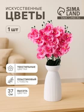 Цветы искусственные «Орхидея Фаленопсис мультифлора», 6×37 см, розовый МИКС