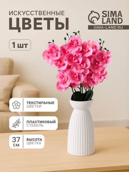 Цветы искусственные «Орхидея Фаленопсис мультифлора», 6×37 см, розовый МИКС