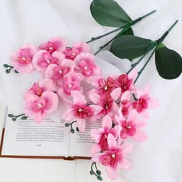 Цветы искусственные «Орхидея Фаленопсис мультифлора», 6×37 см, розовый МИКС