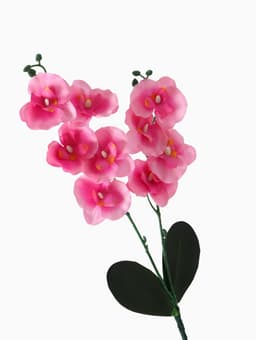 Цветы искусственные «Орхидея Фаленопсис мультифлора», 6×37 см, розовый МИКС