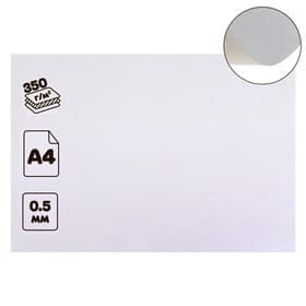 Картон хром-эрзац, А4 (21×30 см), 350 г/м², «Ладога», немелованный, 0.5 мм