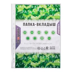Файл - вкладыш Calligrata «Люкс», А4, 50 мкм, глянцевый, вертикальный, 100 штук