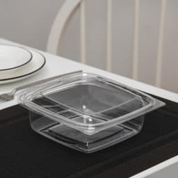 Контейнер одноразовый с неразъёмной крышкой ПР-СК-РГ-А, пластик, 750 мл, 16.8×6 см, прозрачный