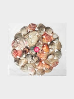 Решётка в раковину круглая Доляна «Ракушки», 28×28 см