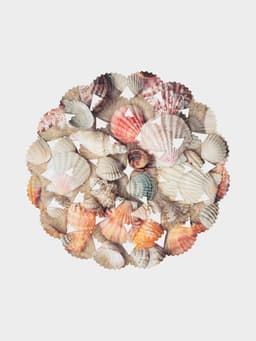 Решётка в раковину круглая Доляна «Ракушки», 28×28 см