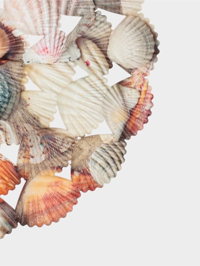 Решётка в раковину круглая Доляна «Ракушки», 28×28 см