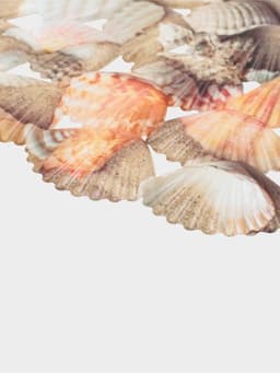 Решётка в раковину круглая Доляна «Ракушки», 28×28 см