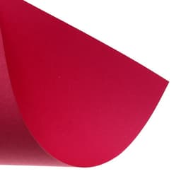 Картон цветной двусторонний Calligrata «Слон и тигр», А4, 8 листов, 8 цветов, матовый, немелованный