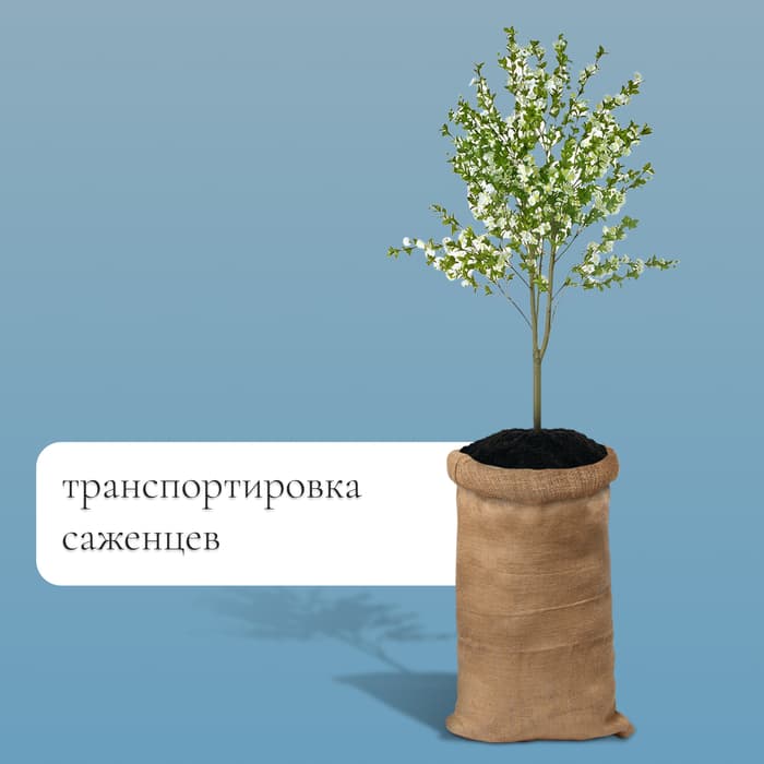 Мешок джутовый, 53×104 см, плотность 315 г/м², плетение 46×40 нитей, без завязок, ГОСТ