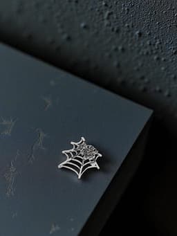 Брошь «Паук в паутине», чёрный, белая в серебре