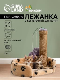 Лежанка с когтеточкой для котят, 34×26×34 см, джут, цвет МИКС