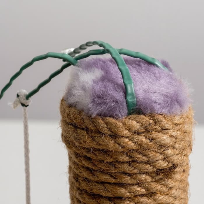 Лежанка с когтеточкой для котят, 34×26×34 см, джут, цвет МИКС