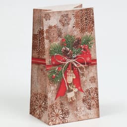 Пакет подарочный без ручек новогодний «Стильный подарок», 10×19.5×7 см