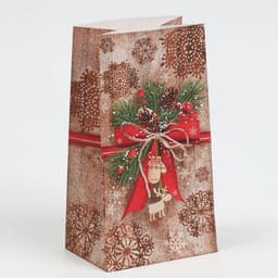 Пакет подарочный без ручек новогодний «Стильный подарок», 10×19.5×7 см