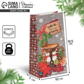 Пакет подарочный без ручек новогодний «Кому‒то ну очень хорошему», 10×19.5×7 см