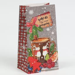 Пакет подарочный без ручек новогодний «Кому‒то ну очень хорошему», 10×19.5×7 см