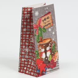 Пакет подарочный без ручек новогодний «Кому‒то ну очень хорошему», 10×19.5×7 см