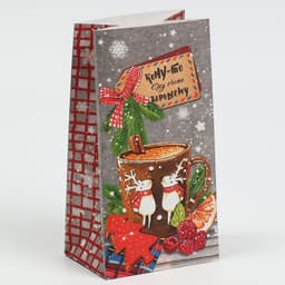 Пакет подарочный без ручек новогодний «Кому‒то ну очень хорошему», 10×19.5×7 см