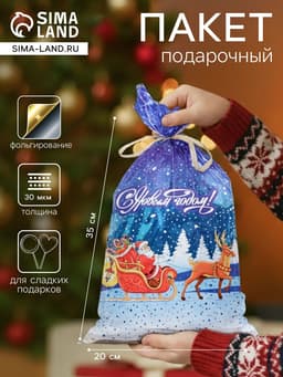 Пакет подарочный новогодний «Волшебное путешествие», для сладких подарков, 20×35 см