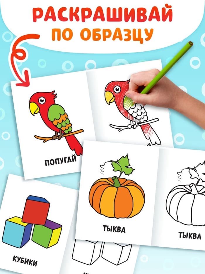 Раскраски набор «Мои первые раскраски», 12 шт. по 16 стр.