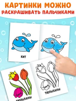 Раскраски набор «Мои первые раскраски», 12 шт. по 16 стр.