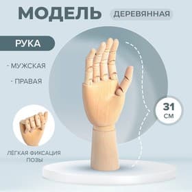 Модель деревянная художественная Манекен «Рука мужская правая» 31 см
