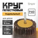 Круг лепестковый радиальный ТУНДРА, 60×20×6 мм, Р40