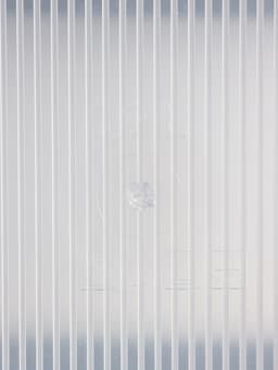 Контейнер для продуктов с мерной шкалой «BioFresh», 900 мл, прозрачный, крышка микс