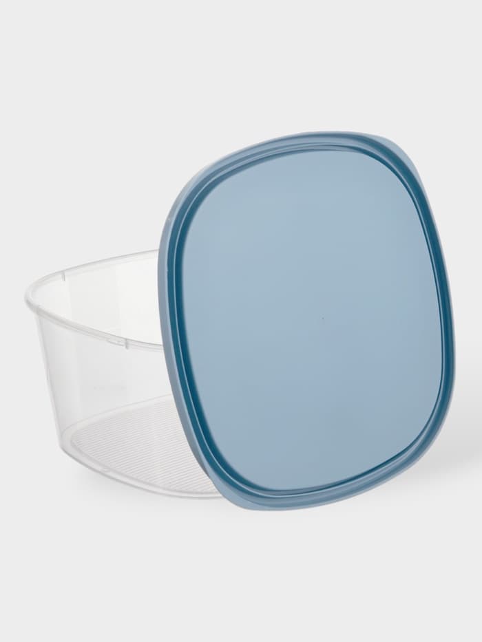 Контейнер для продуктов с мерной шкалой SparkPlast BioFresh, 2.65 л, прозрачный, пластик, крышка МИКС
