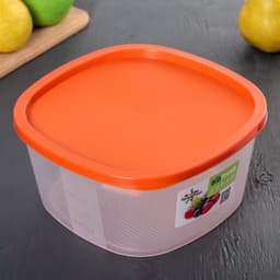 Контейнер для продуктов с мерной шкалой SparkPlast BioFresh, 2.65 л, прозрачный, пластик, крышка МИКС