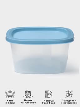 Контейнер пищевой SparkPlast BioFresh, 500 мл, пластик, прозрачный, крышка микс