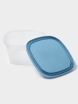 Контейнер пищевой SparkPlast BioFresh, 500 мл, пластик, прозрачный, крышка микс