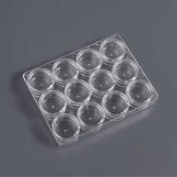 Органайзер для хранения мелочей, 12 баночек, 12×9×2 см, d=2.8×1.5 см, 2 мл, прозрачный