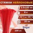 Хомут нейлоновый для стяжки, ТУНДРА, 2.5×100 мм, красный, 100 шт.