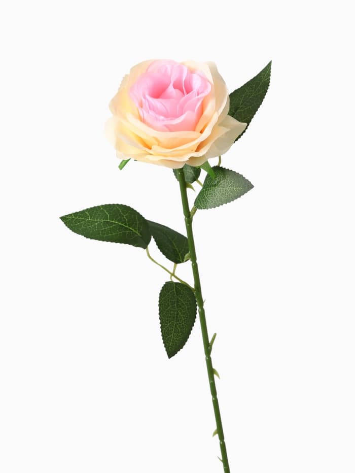 Цветы искусственные «Роза Глория», 9×60 см, кремовые