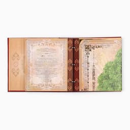 Родословная книга с рамкой под фото «Семейная книга», 50 листов, 21.5×23.7 см