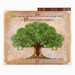 Родословная книга с рамкой под фото «Семейная книга», 50 листов, 21.5×23.7 см